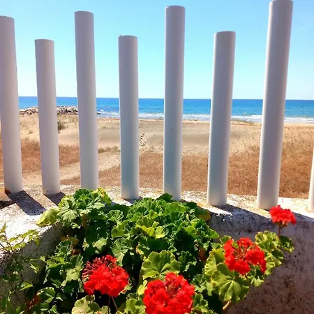 D Lady Fronte Mare