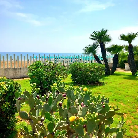 D Lady Fronte Mare